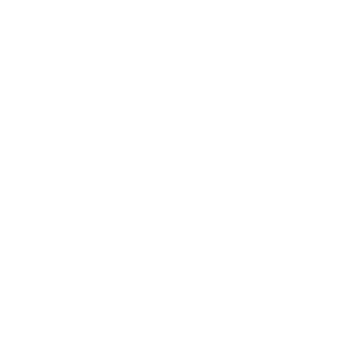 SpeedracerZ Tech Shop