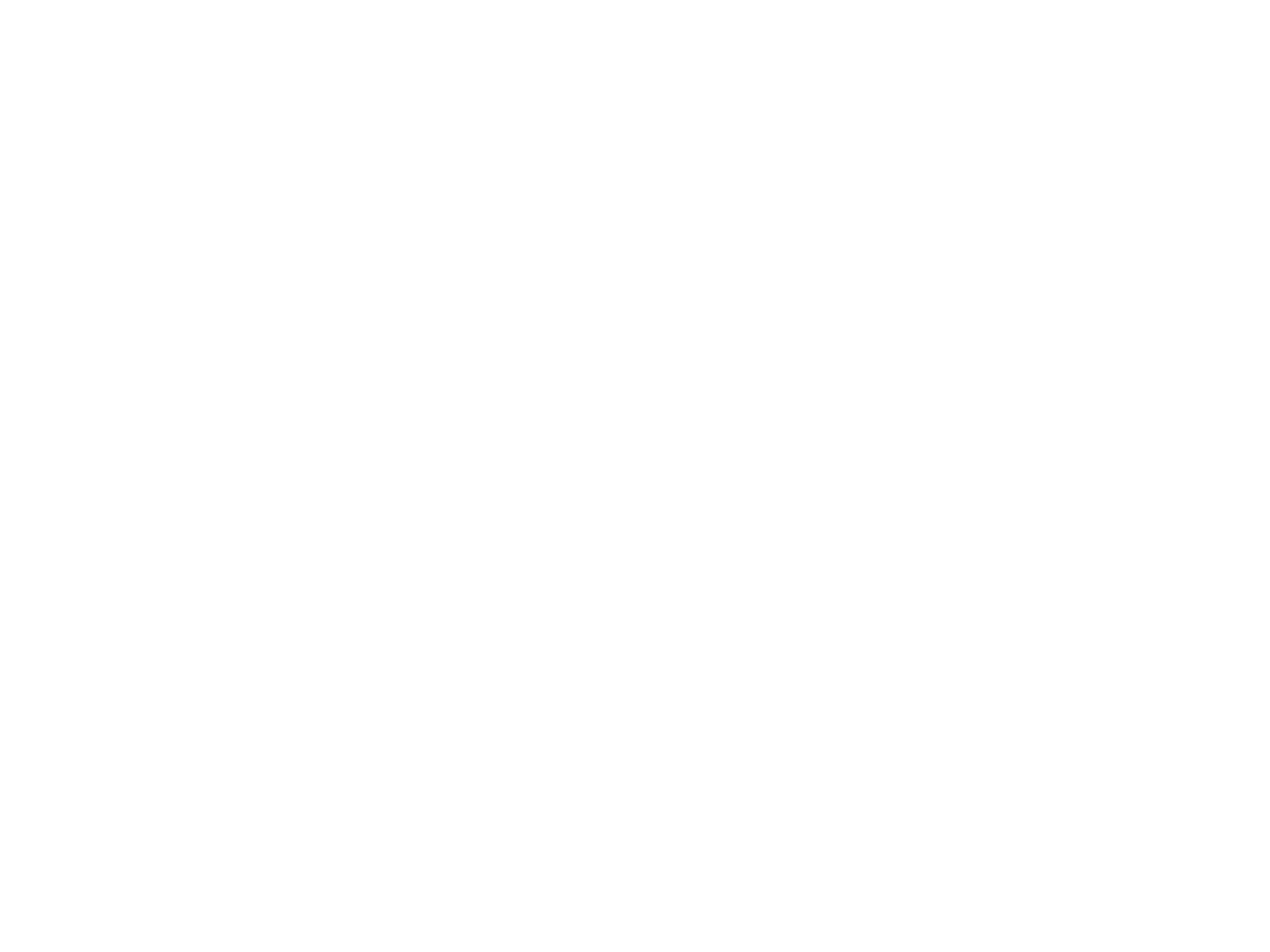 SpeedracerZ Tech Shop